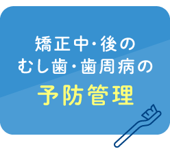 矯正中・後のむし歯・歯周病の予防管理